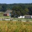 The Skinny on Farm Subsidies and Obesity