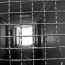 Prison Nation