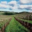 Congress Must Pass a Farm Bill in 2012