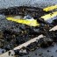 Pothole Nation