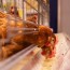 Why the Chicken Crossed the Road