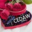 cedaw-valentine-women's-equality