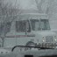 usps-mailtruck-carly-&-art